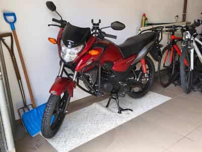 Honda CBF (2021) - Photo 11