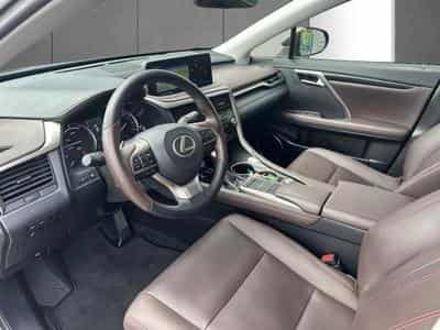 Lexus RX Executive Line (2022) - Foto 10