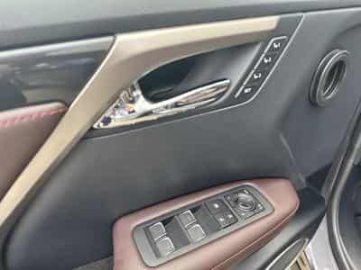 Lexus RX Executive Line (2022) - Foto 12