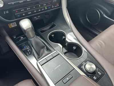 Lexus RX Executive Line (2022) - Foto 13