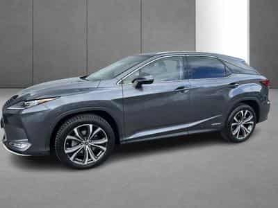 Lexus RX Executive Line (2022) - Foto 2