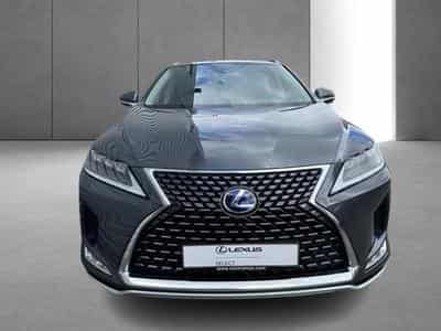 Lexus RX Executive Line (2022) - Foto 6