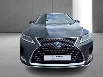 Lexus RX Executive Line (2022) - Foto 7