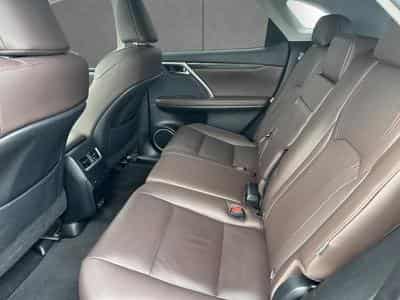 Lexus RX Executive Line (2022) - Foto 9