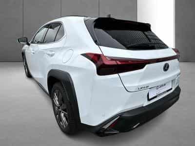 Lexus UX F SPORT Design (2023) - Foto 7