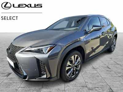 Lexus UX F SPORT Design (2023) - Foto 1