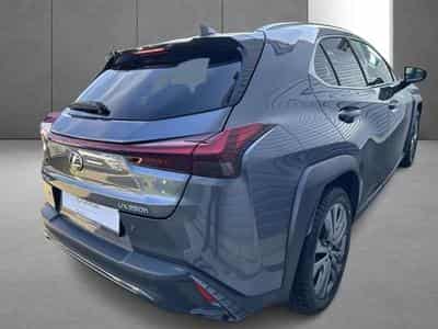 Lexus UX F SPORT Design (2023) - Foto 10