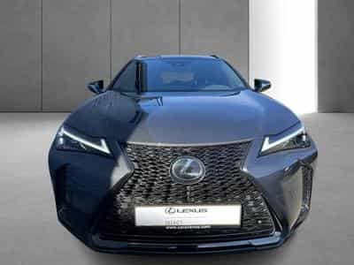 Lexus UX F SPORT Design (2023) - Foto 6
