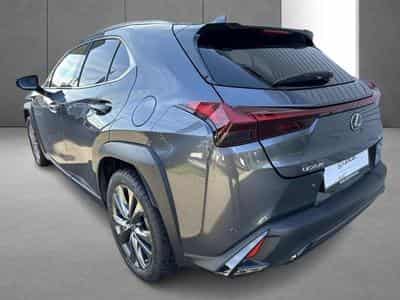 Lexus UX F SPORT Design (2023) - Foto 8
