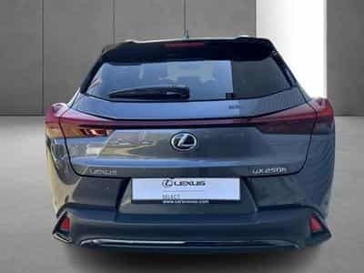 Lexus UX F SPORT Design (2023) - Foto 9