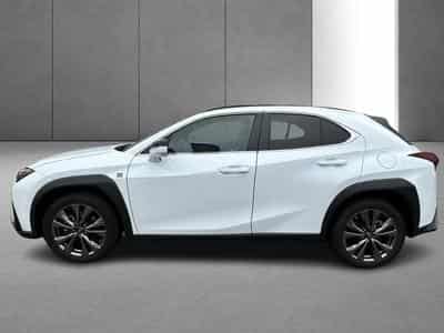 Lexus UX F SPORT Design (2023) - Foto 2