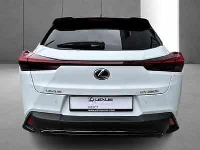 Lexus UX F SPORT Design (2023) - Foto 7