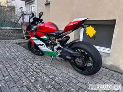 Ducati Panigale Ducati special color (2013) - Foto 6
