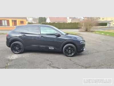 Citroën C4 Cactus PURETECH (2019) - Foto 14