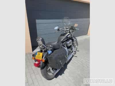 Harley-Davidson Roadster 1200 (2008) - Foto 3