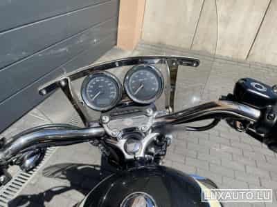 Harley-Davidson Roadster 1200 (2008) - Foto 4