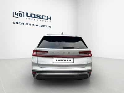 Skoda Kodiaq Selection (2025) - Foto 6