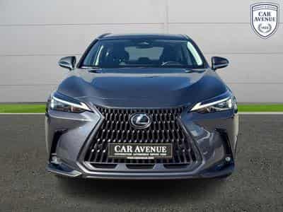 Lexus NX Business Line (2024) - Foto 3