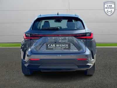 Lexus NX Business Line (2024) - Foto 4