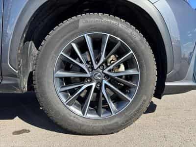 Lexus NX Business Line (2024) - Foto 6