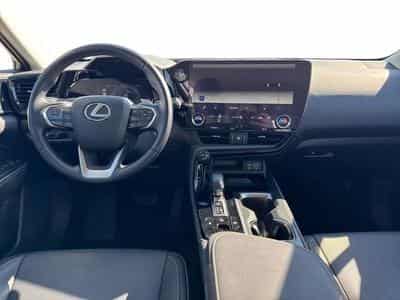 Lexus NX Business Line (2024) - Foto 8