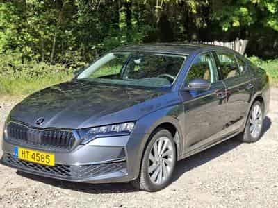 Skoda Octavia Sportback Selection (2024) - Foto 1