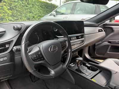 Lexus ES 300h Executive Line (2023) - Foto 7