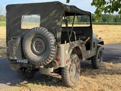 Jeep Willys M38A1 (1960) - Foto 3