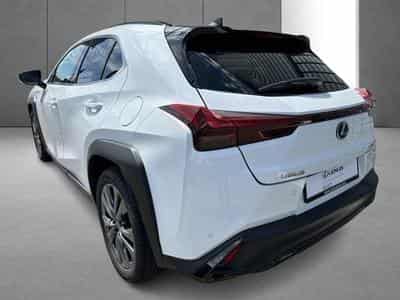 Lexus UX F SPORT Design (2023) - Foto 10