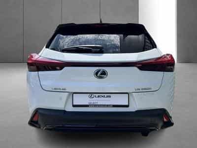 Lexus UX F SPORT Design (2023) - Foto 9