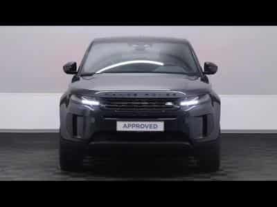 Land-Rover Range Rover Evoque D165 S AWD auto (2025) - Foto 2
