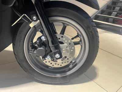 Yamaha D'elight (2026) - Photo 5