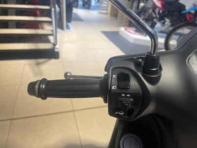 Yamaha D'elight (2026) - Photo 9