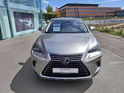 Lexus NX Executive (2020) - Foto 1