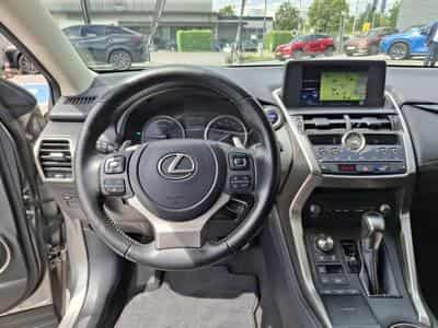 Lexus NX Executive (2020) - Foto 13