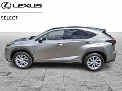 Lexus NX Executive (2020) - Foto 2