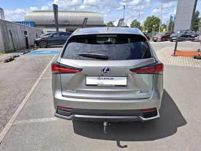 Lexus NX Executive (2020) - Foto 3
