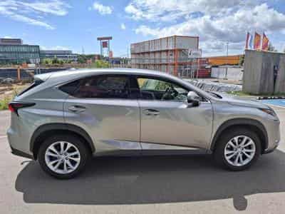 Lexus NX Executive (2020) - Foto 4