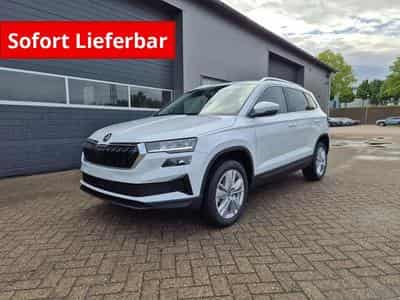 Skoda Karoq Selection (2026) - Foto 1