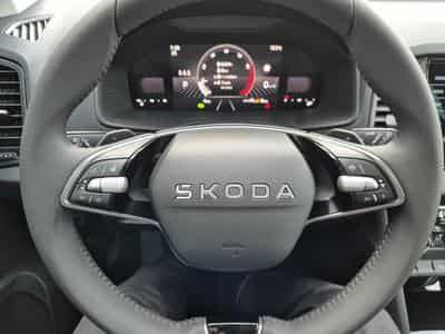 Skoda Karoq Selection (2026) - Foto 15