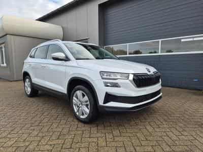 Skoda Karoq Selection (2026) - Foto 7