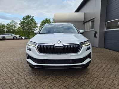 Skoda Karoq Selection (2026) - Foto 8