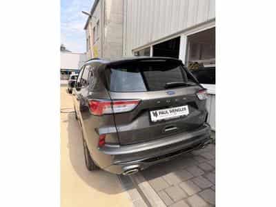 Ford Kuga ST-LINE X (2024) - Foto 2