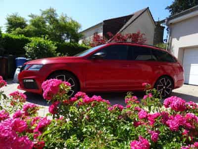 Skoda Octavia RS DSG (2019) - Foto 3