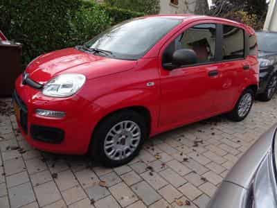 Fiat Panda 1.3 MTJ (2017) - Foto 12