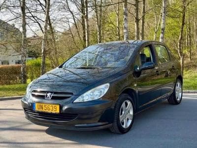 Peugeot 307 (2004) - Foto 1
