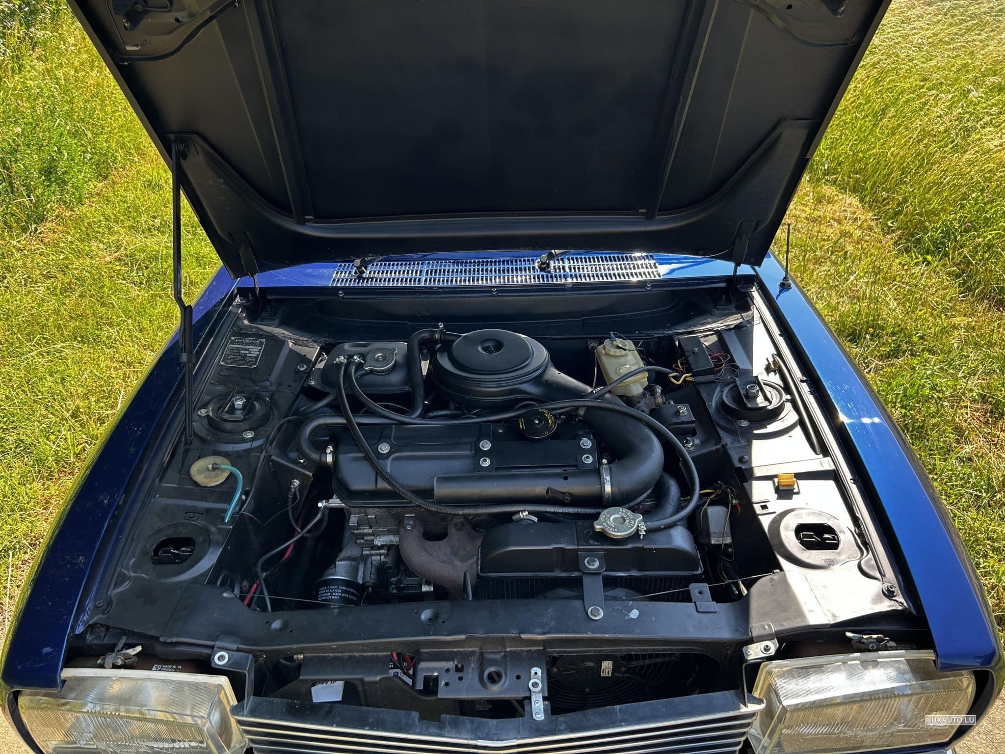 Peugeot 304 S (1972) - Foto 10
