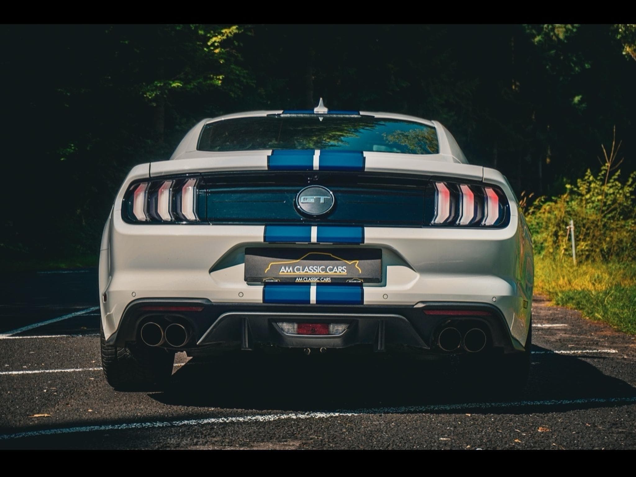 Ford Mustang Mustang GT 5.0 / V8 449 ch / Carnet (2023) - Foto 5