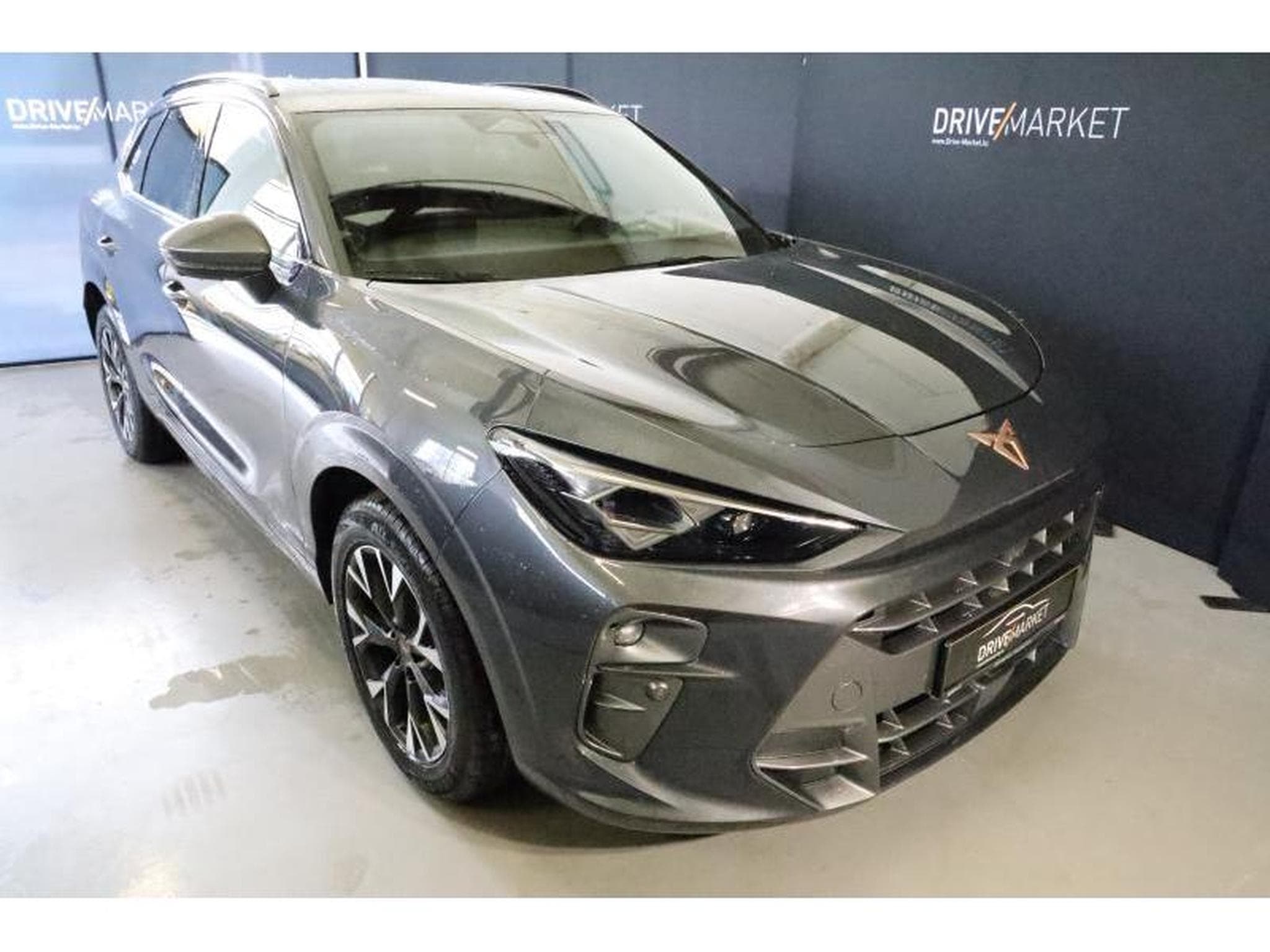 Cupra Terramar (2025) - Foto 19