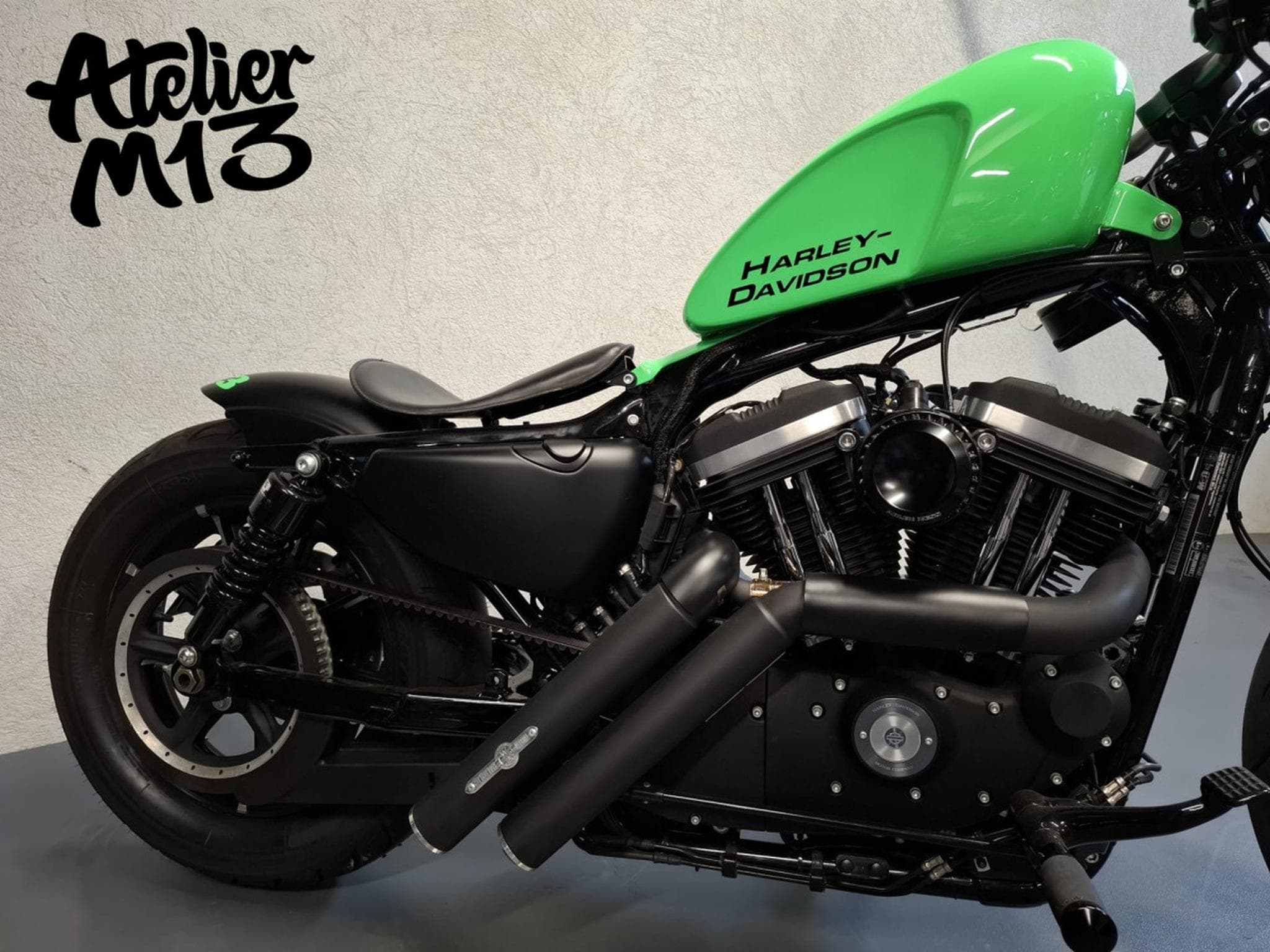 Harley-Davidson Sportster XL883N Green Racing (2015) - Foto 16